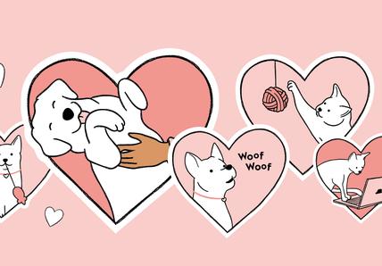 pet love languages