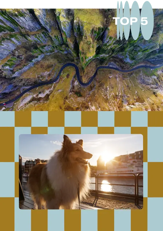 no