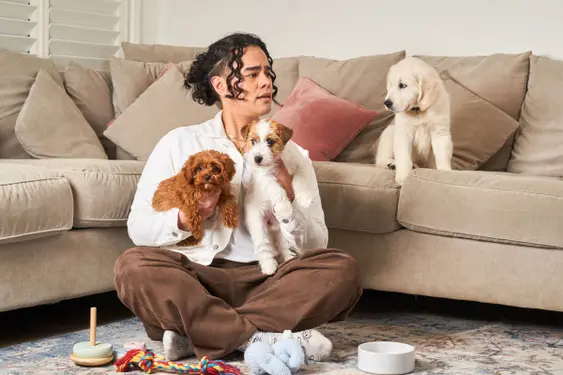man in white shirt and brown jeans holds two puppies and looks dismayed at another puppy on the sofa behind him.