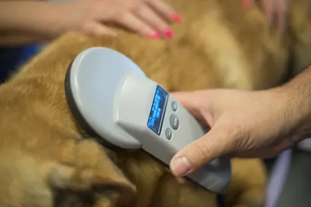 Microchip scanner