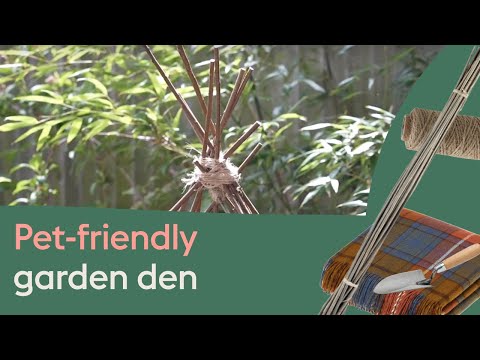 How to make a pet-friendly den in your garden - for cats or dogs
