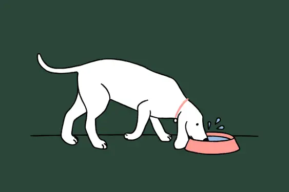illustration of white dog drinking water out of pink bowl on green background