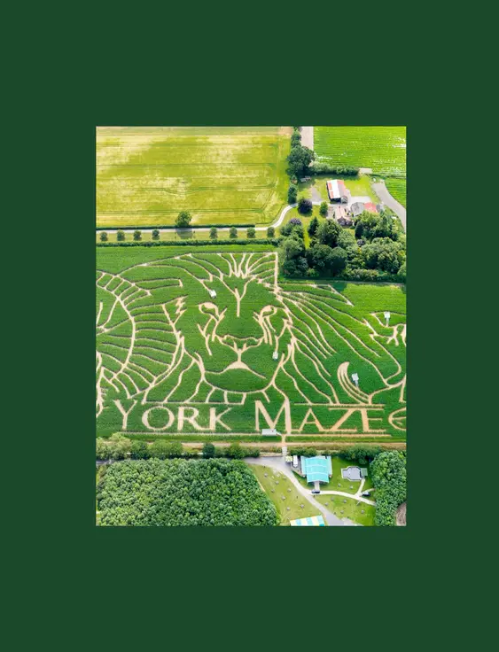 A birds eye view of 'York Maze' cut in to Maize.