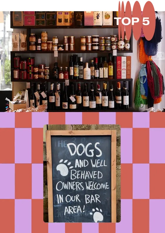 To the top, there's a shelving unit full of wine bottles. To the bottom, on a purple and red checkerboard background, there's a chalk sign that reads: "Dogs and well behaved owners welcome in our bar area!".