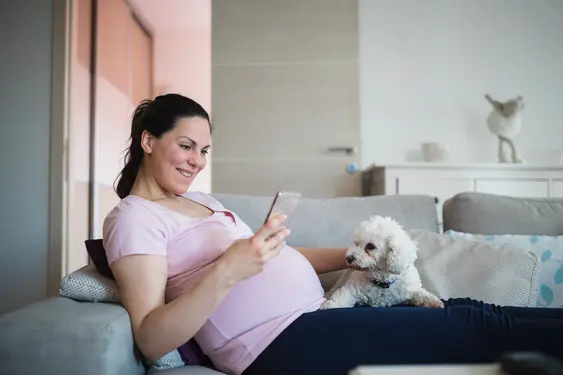 A pregnant woman lays on the couch and stares at her phone while her dog rests on her lap