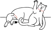 A cat waving whilst a dog hides its face