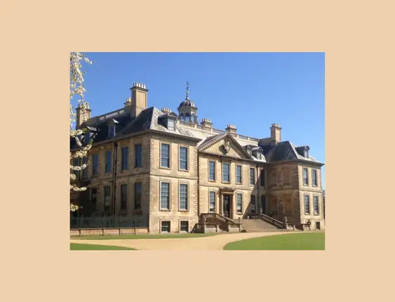 Elegant historic mansion with a blooming tree, set against a clear blue sky.