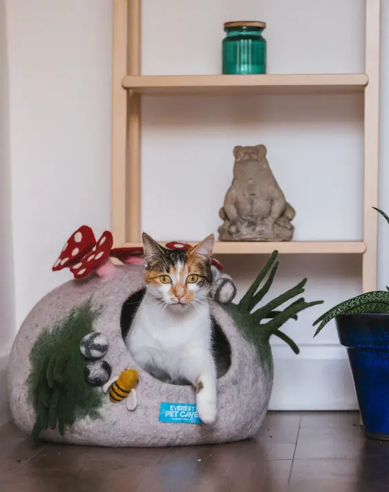 Image of a brown-and-white cat emerging from the Everest Pet Cave bed