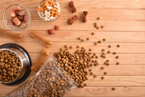 Dog food spread out
