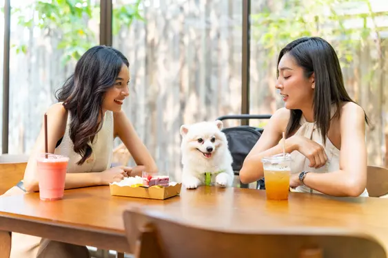 Two women sit at a table with drinks, a tray of snacks, and a smiling white Pomeranian between them in a bright, casually elegant setting.