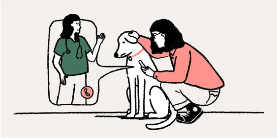 Woman dialing a Vet with her dog