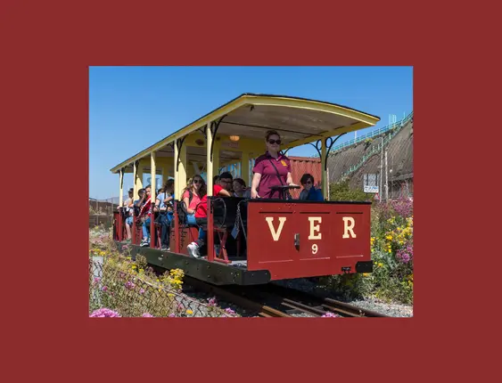 lady in sunglasses driving small red train