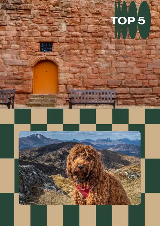 one image of a red brick castle wall with an orange door, and a separate image of a brown shaggy dog in the scottish highlands