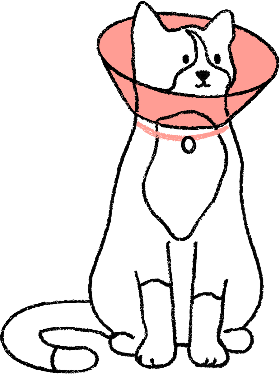 MP_Vet_Collar_Cat