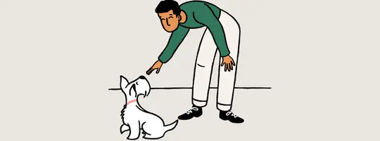 How to teach your dog recall