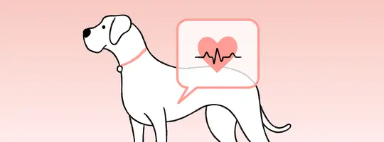 Illustration of a dog, with a speech bubble containing a heart and an electrocardiogram (ECG) line.