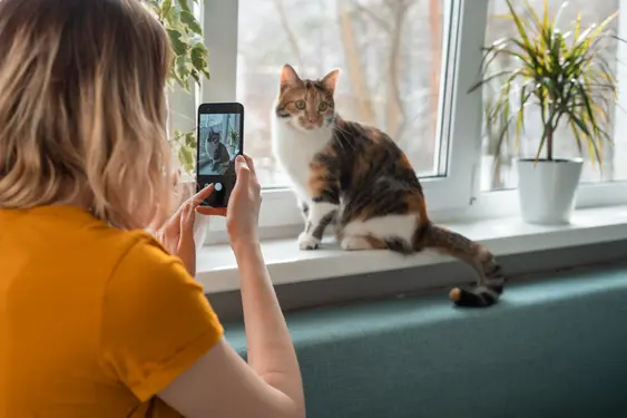 woman in orange shirt takes photo of a calico cat in a window