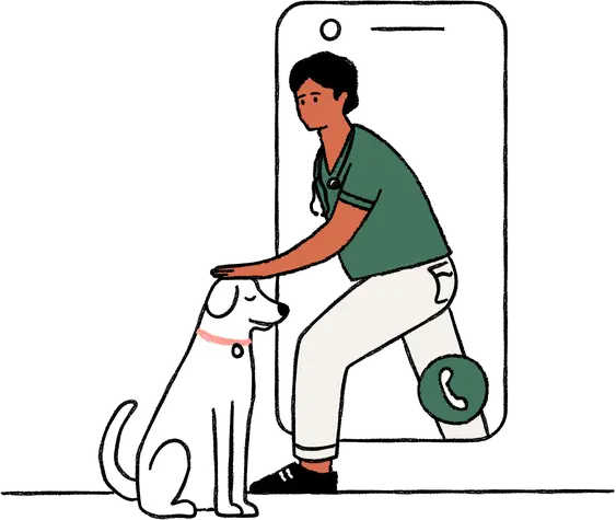 A vet walking out of a phone to pet a dog