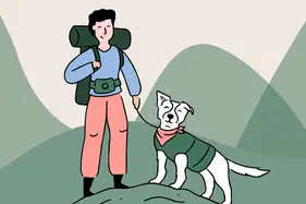 Best dog breeds for hiking