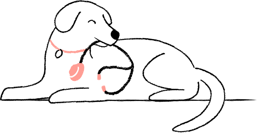 dog carrying a stethoscope in its mouth