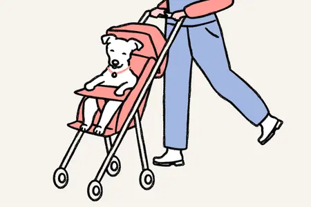 drawing of a dog in a stroller