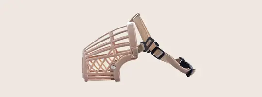 light pink colored dog muzzle on a tan background