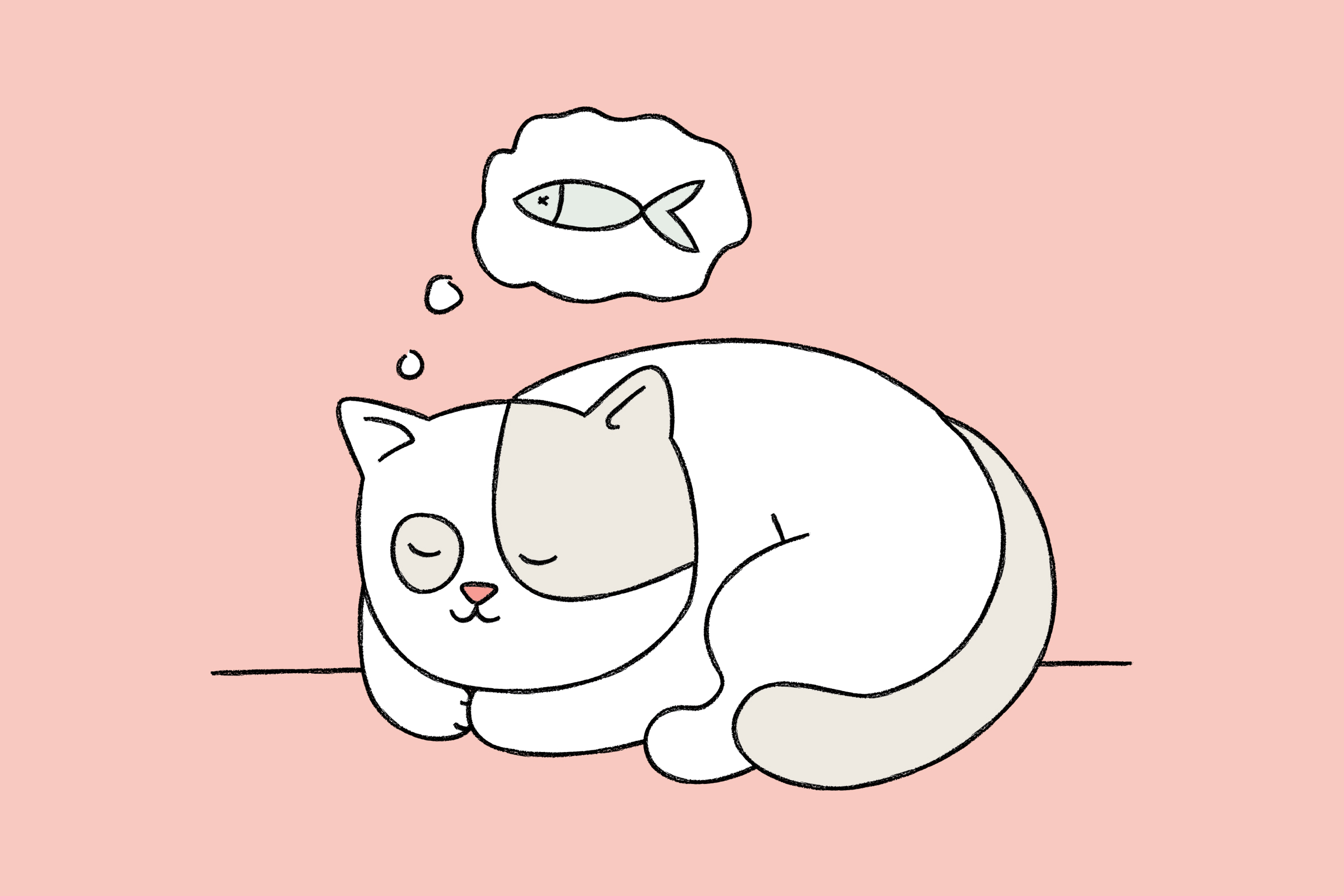 kitten sleeping