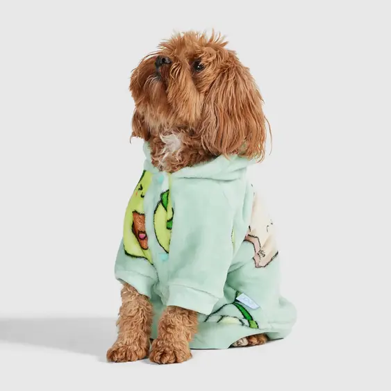 Brown dog in an avocado-themed Oodie