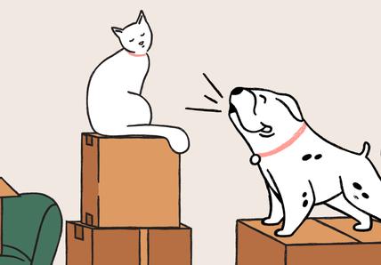 An illustration of one white cat perched atop stack of moving boxes, another cat peeking out of the top of a box on a green armchair, and a spotted white dog barking toward the cats.
