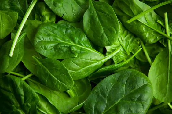 A close-up of spinach