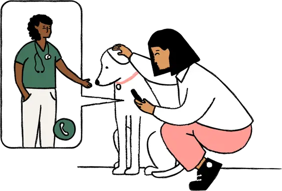 Illustration, Woman crouching down with a phone in her hand. She is petting her dog who is sitting and looking down. They're sharing a moment. There is a speech bubble coming from the phone, in the bubble is a vet giving advice.