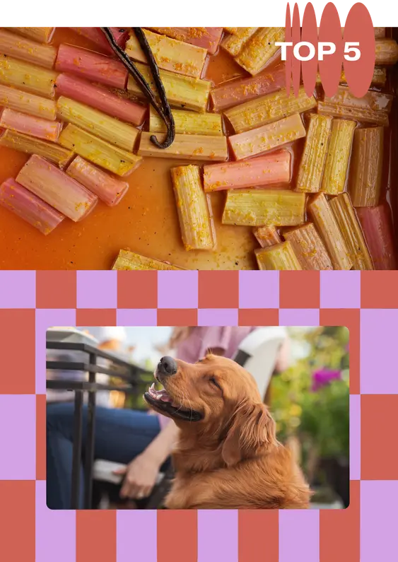 no