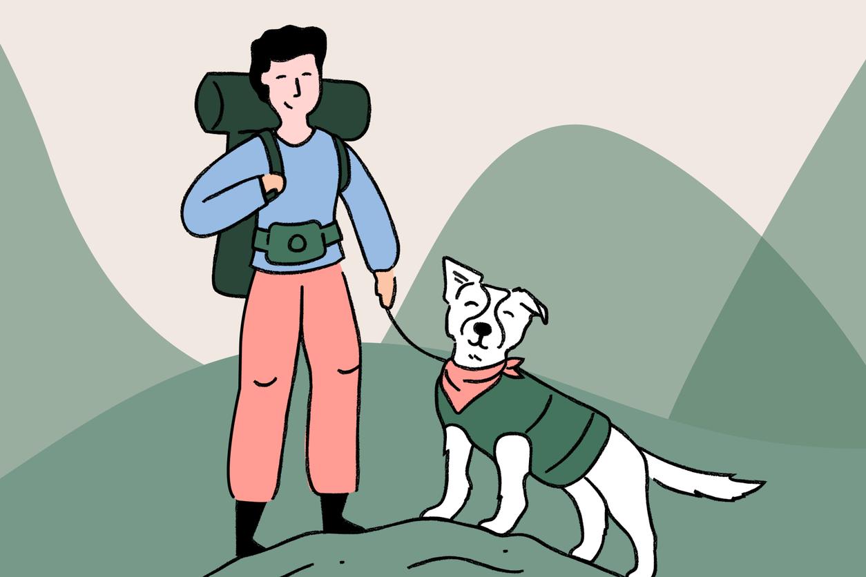 Best dog breeds for hiking