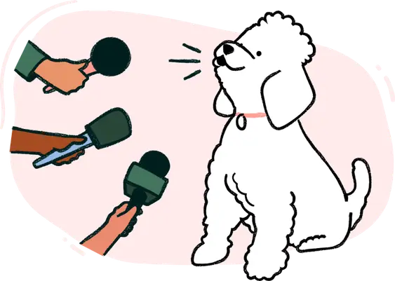 dog_interview