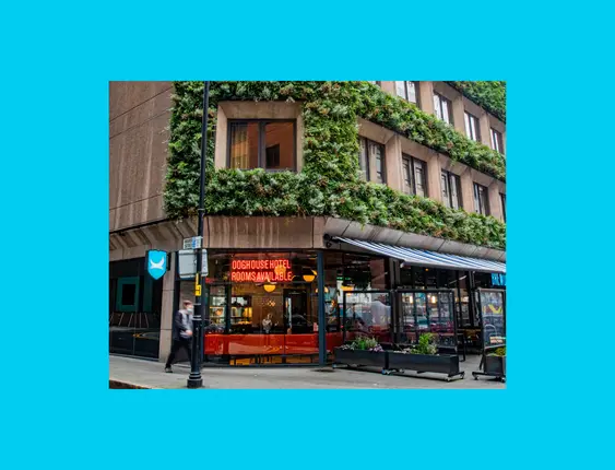 Urban hotel and bar covered with green plants, with "DogHouse Hotel" sign - it is a glass-enclosed pub on a city street.