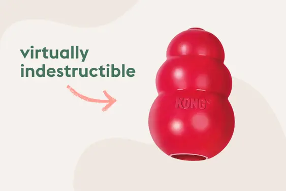 A red 'kong' dog toy