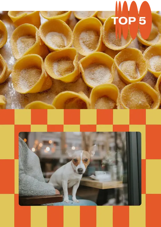 no