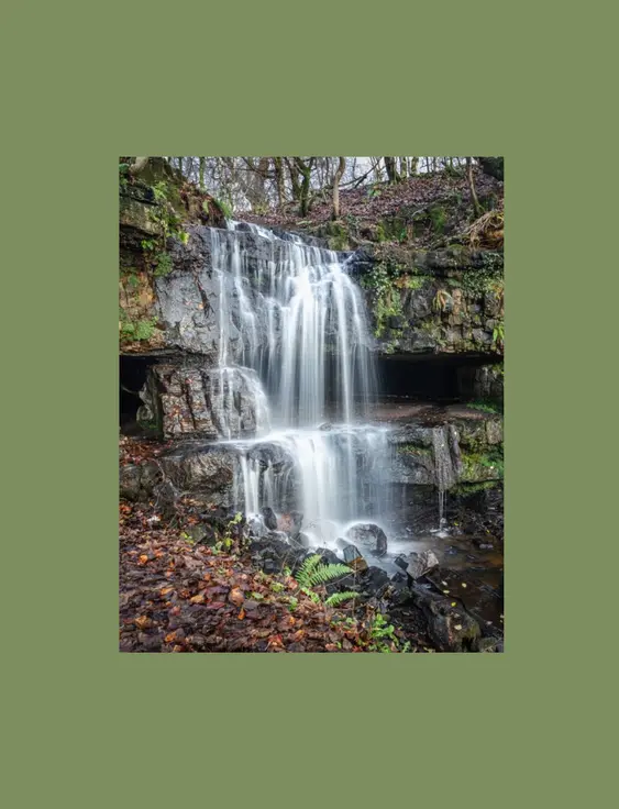 A cascading waterfall flows gracefully over mossy, rock-laden cliffs surrounded by autumn leaves and verdant foliage
