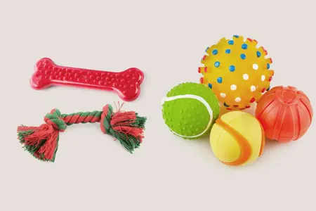 Dog Toys