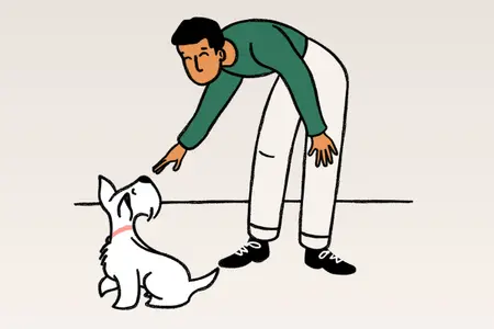How to teach your dog recall