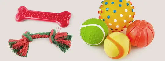 Dog Toys