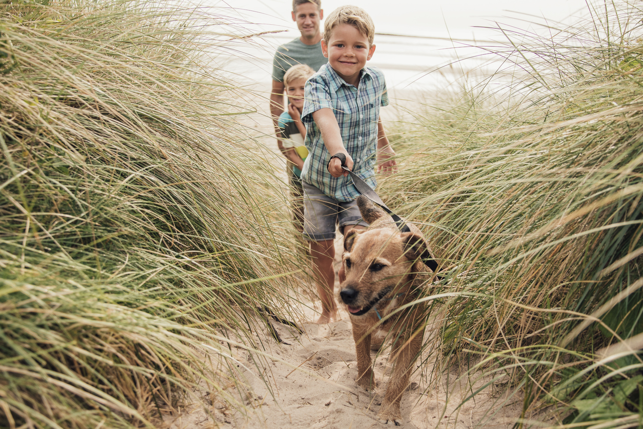 A dog and boy going to the beach