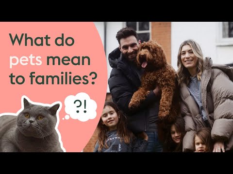 Pets & children - What do pets mean to families?!