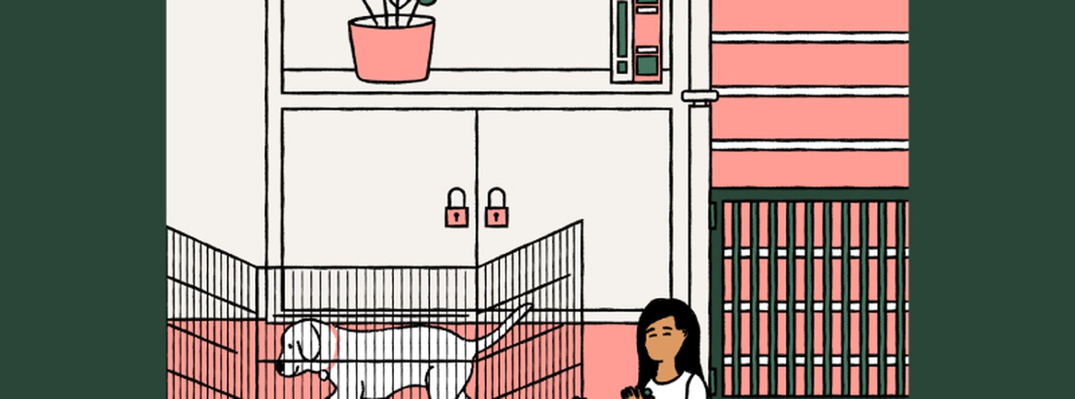 How to dog and child-proof your home