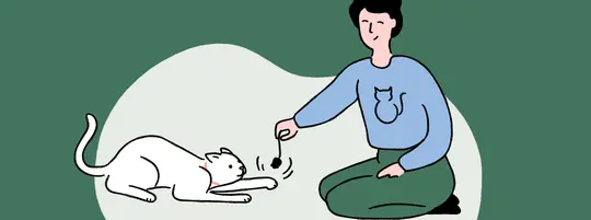 Woman playing with cat
