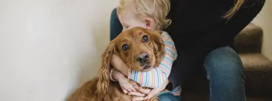 A woman and a young child hugging a golden retriever on the stairs.