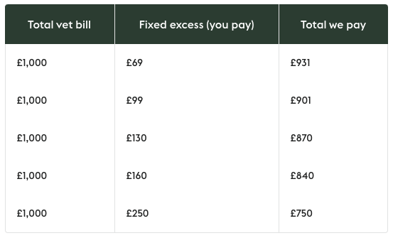 A table with various excess examples