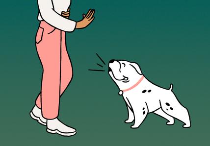 Dog Barking