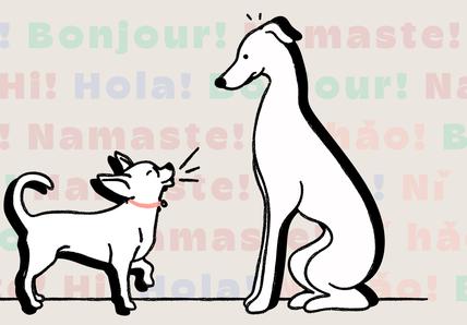 Illustration of two dogs facing each other with various translations of 'hello' in the background.