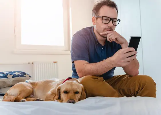 Dog on bed with owner